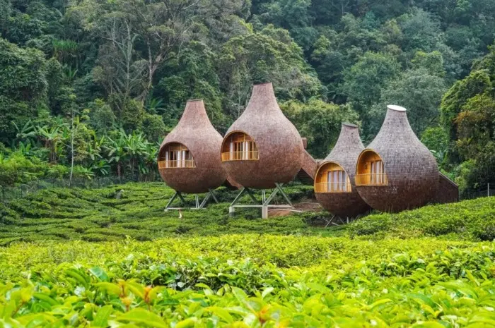 Natural Tourist Spots in Bogor with Stunning Views